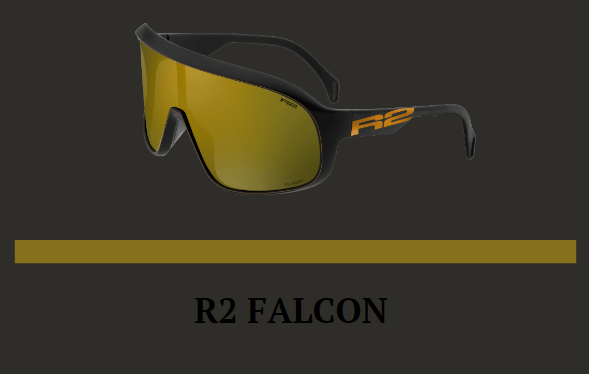 Окуляри R2 FALCON оправа матова чорна лінзи grey Polarized з покрит. Gold Mirror (CAT. 3) купити в Україні